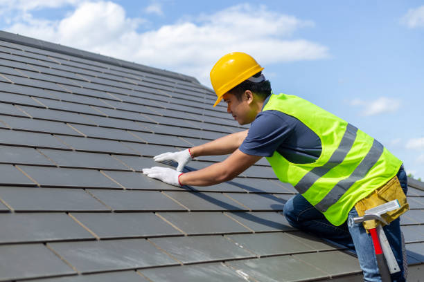 Best Roof Gutter Cleaning  in East Troy, WI