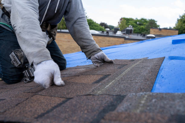 Best Roof Repair Services  in East Troy, WI